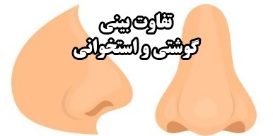 تفاوت بینی استخوانی و گوشتی در عمل زیبایی