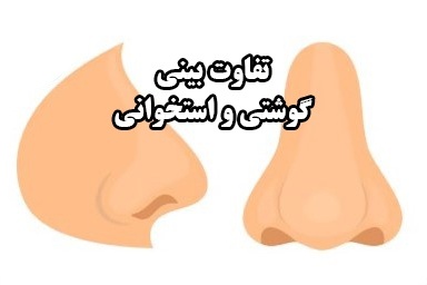 تفاوت بینی استخوانی و گوشتی در عمل زیبایی