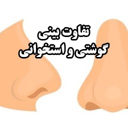 تفاوت بینی استخوانی و گوشتی در عمل زیبایی