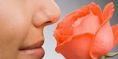 چرا بعد از عمل بینی بو ها را کمتر حس می‌کنیم؟ علت و راه بازگشت بویایی