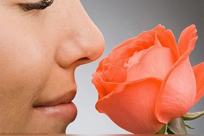 چرا بعد از عمل بینی بو ها را کمتر حس می‌کنیم؟ علت و راه بازگشت بویایی