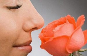 آیا رینوپلاستی حس بویایی را کاهش میدهد